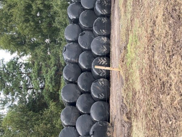 Silage for sale - Main image