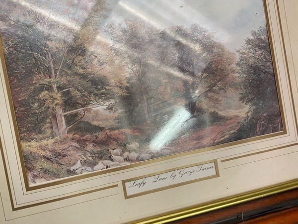 Picture - Main image