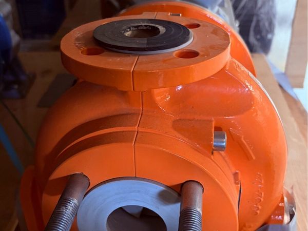 Industrial pump motor - Main image