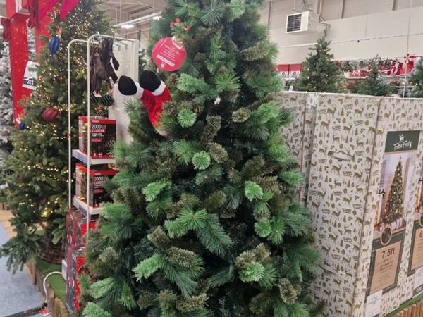 Christmas tree - Main image