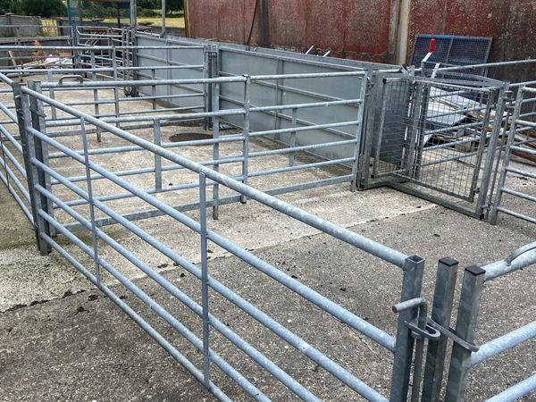 Sheep race and penning, scales, crate, creep - Main image
