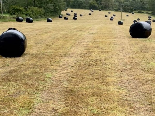 Round bales - Main image