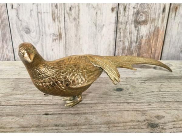 Pheasant Brass KAS1362 - Main image