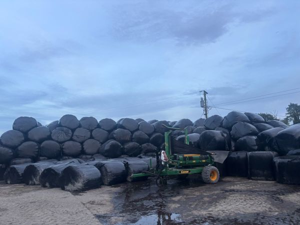 Silage bales - Main image