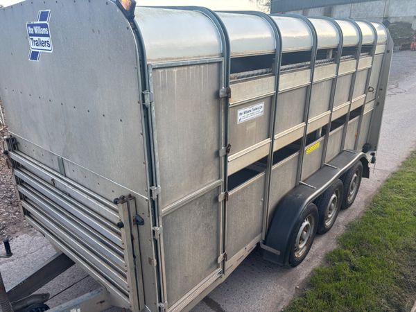 Ifor Williams 14ft x 6ft Tri axle cattle trailer - Main image