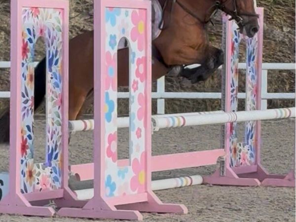 All rounder competition pony - Main image