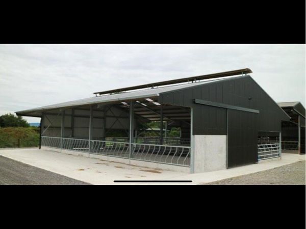 Slatted Shed/Cattle accommodation - Main image