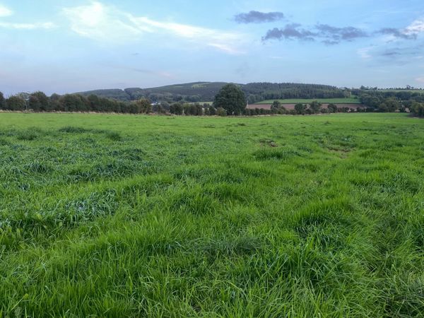 **SILAGE MEADOW**KEENLY PRICED - Main image