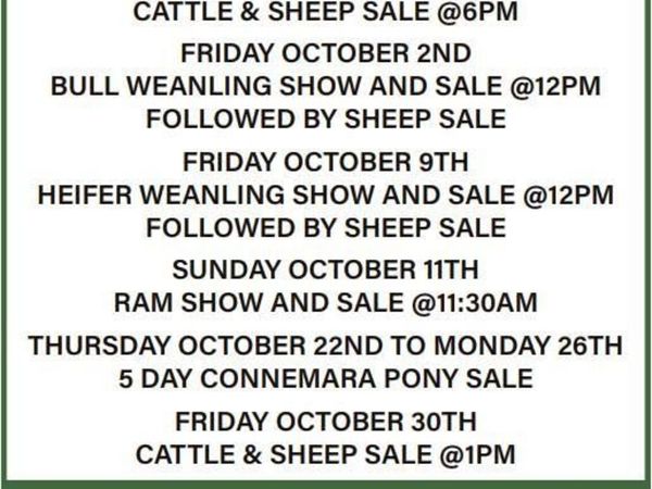 October 2nd Bull Weanling Show & Sale – 12pm - Main image