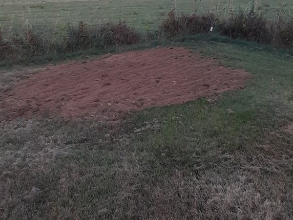 Topsoil for sale - Main image