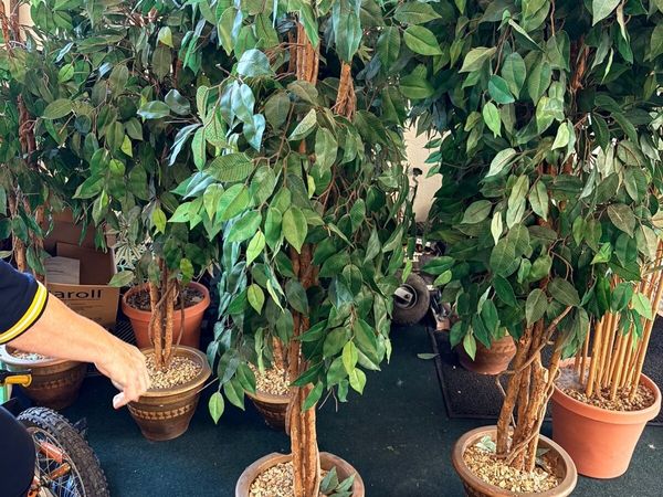 Artificial decorative trees - Main image