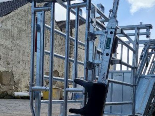 Cattle crush & scales - Main image