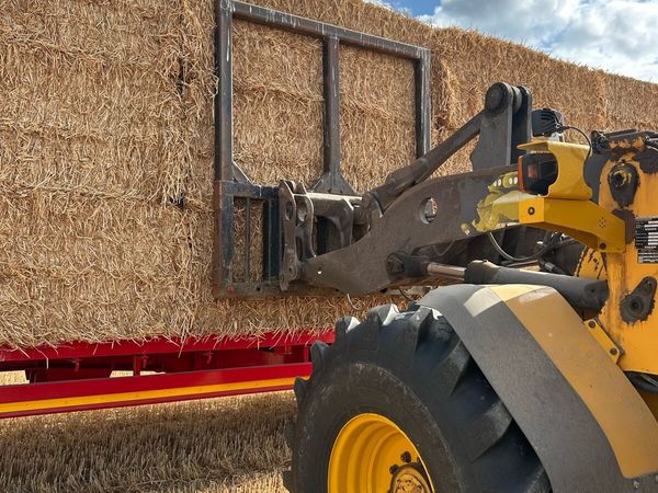 Straw - Main image