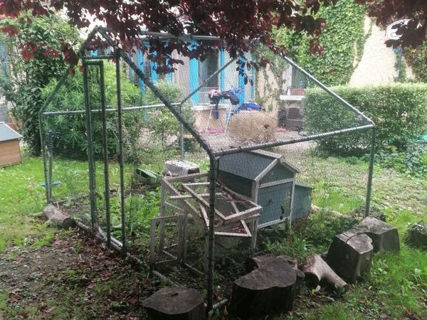 Hen cage - Main image