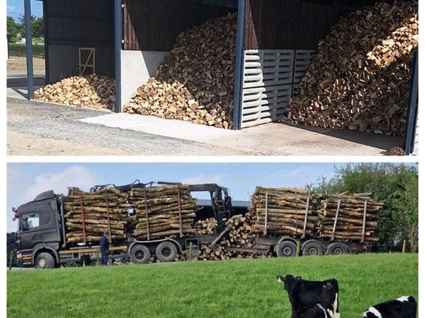 Firewood - Main image