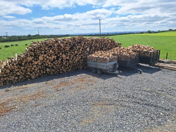 Firewood logs - Main image