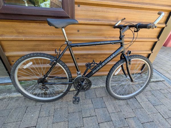Adult Bicycle - Main image
