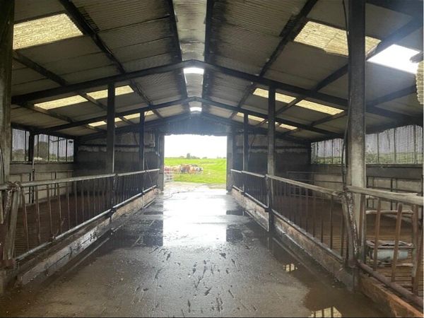 ##Slatted shed## #RENT## 4bay double - Main image