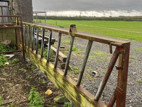 cattle feeding barrier - Main image