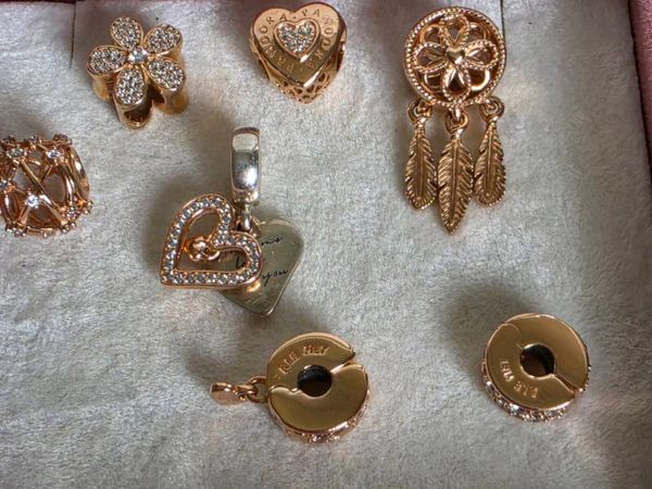Pandora rose hold charms & clips - Main image