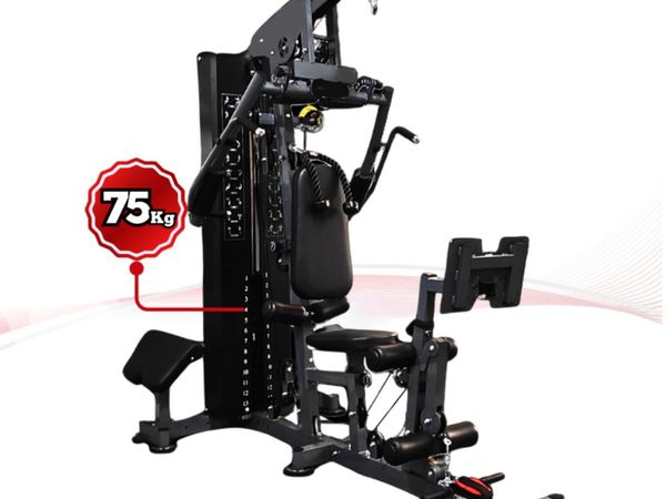 Multi gym With Leg Press attachment - Main image