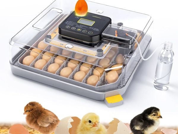 48-Egg Fully Automatic Incubator 12V/220V - Main image