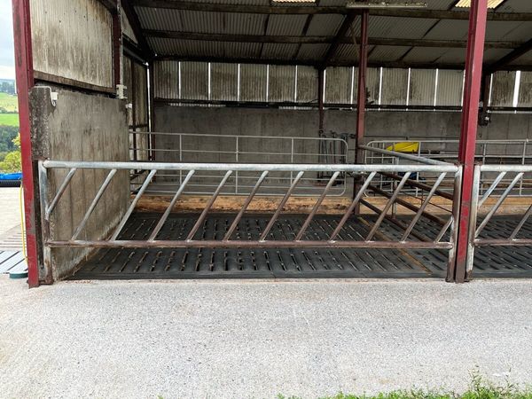 Used Cattle Feed Barriers - Main image