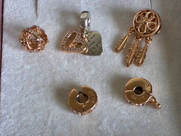 Pandora rose hold charms & clips - Main image