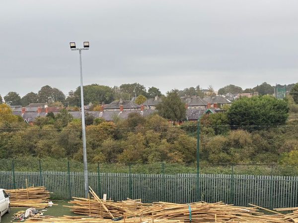 Timber lengths - Main image