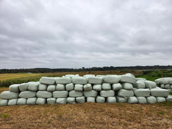 Hayledge - Main image