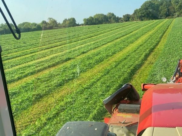 Silage 🌱 - Main image