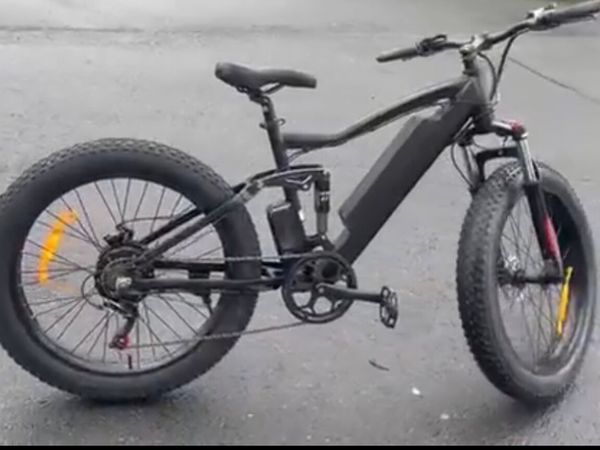 EVO 1 electric fat bike - Main image
