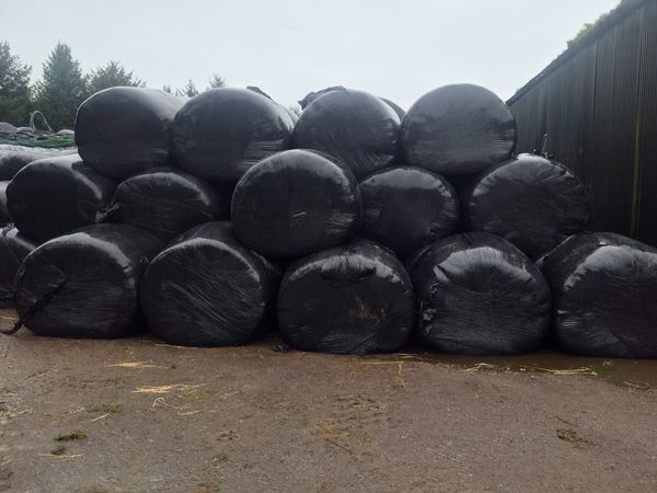 Silage bales - Main image