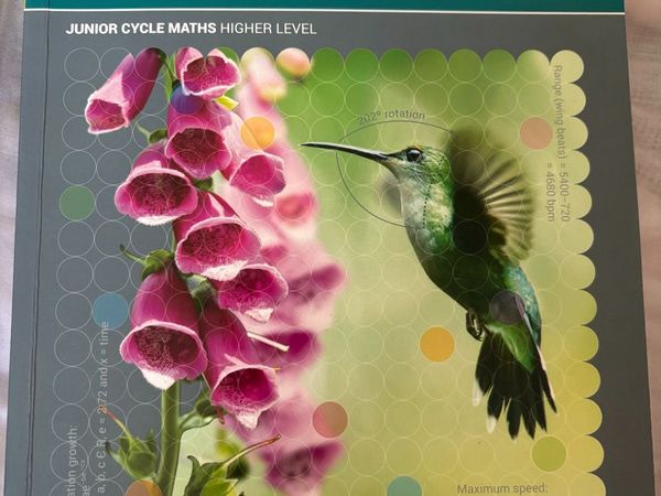 Active Maths 2 + Student Log - Main image