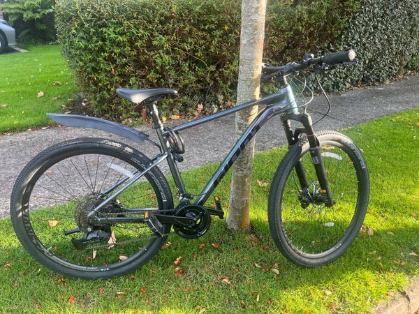 Giant roam bike - Main image
