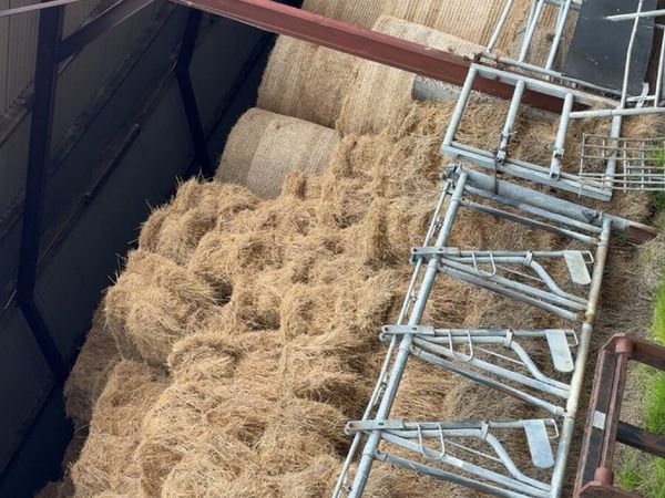 Round and small square bales of hay - Main image