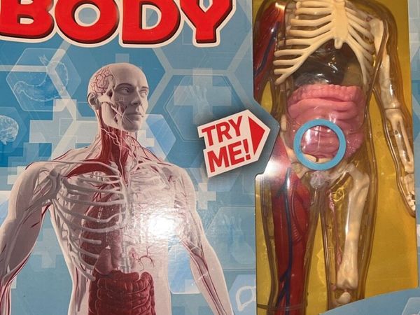 Science Experiment Toys - Main image