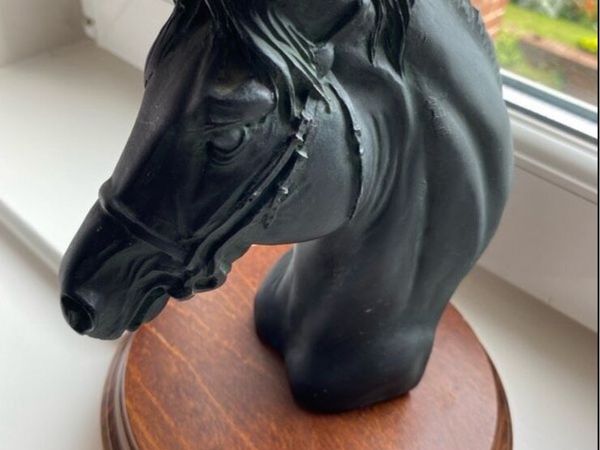 Vintage Horse Head Display - Main image