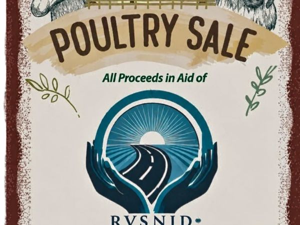 Poultry - Main image