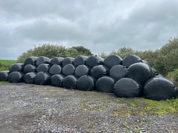 Round silage bales - Main image