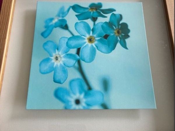 3D Floral Framed picture - Main image
