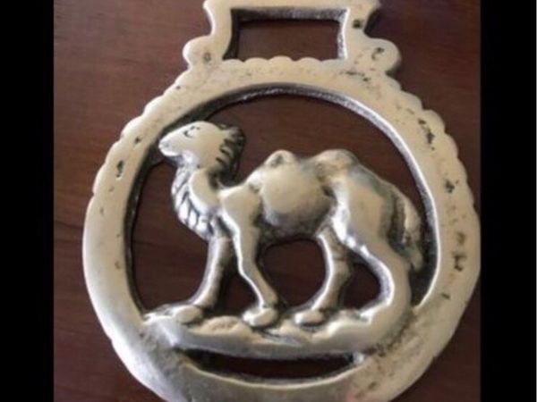 Brass ‘Camel’ Bottle Opener for sale in Dublin for €10 on DoneDeal