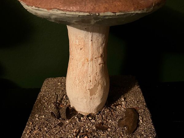 Vintage pharmacy botanical mushroom teaching model - Main image