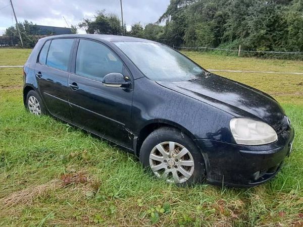Fiesta - Main image