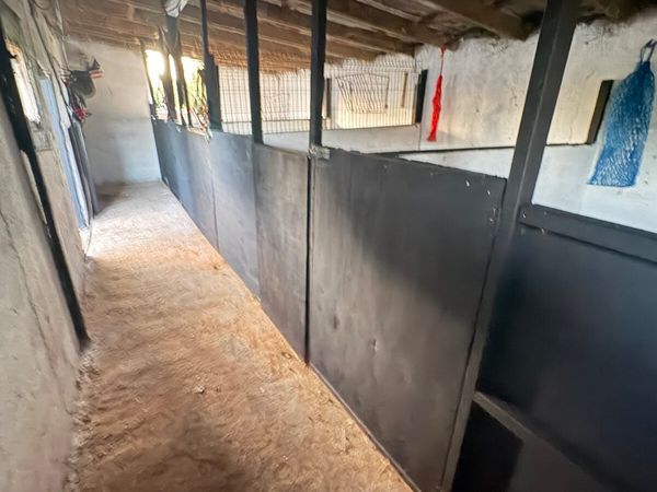 stables to rent - Main image