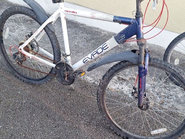 Male Bicycles - Main image