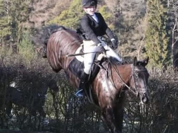 Allrounder/hunter - Main image