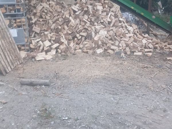 Firewood - Main image