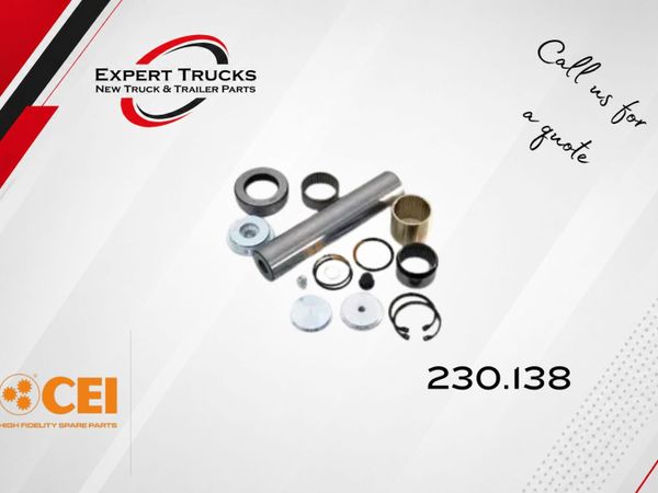 VOLVO REN KING PIN PER HUB (CEI) - Main image