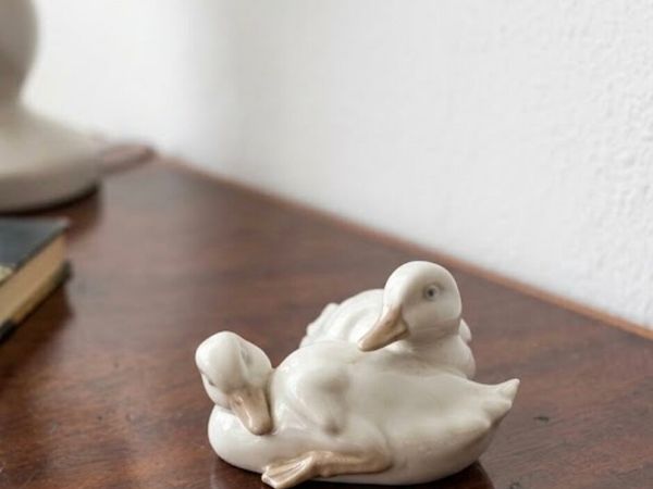 Vintage Nao Lladro "Dos Patitos" - Main image